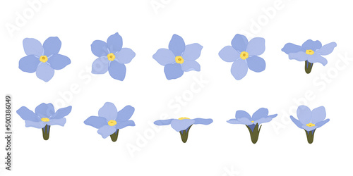 Set of Forget Me Not blooming flowers illustration.