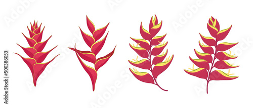 Set of red heliconia blooming flowers illustration. photo
