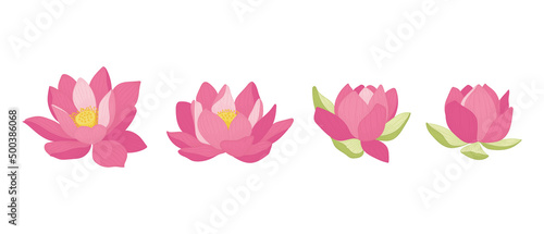 Set of pink lotus blooming flowers illustration.