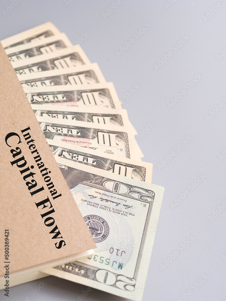 international money capital flows concept international money capital flows concept