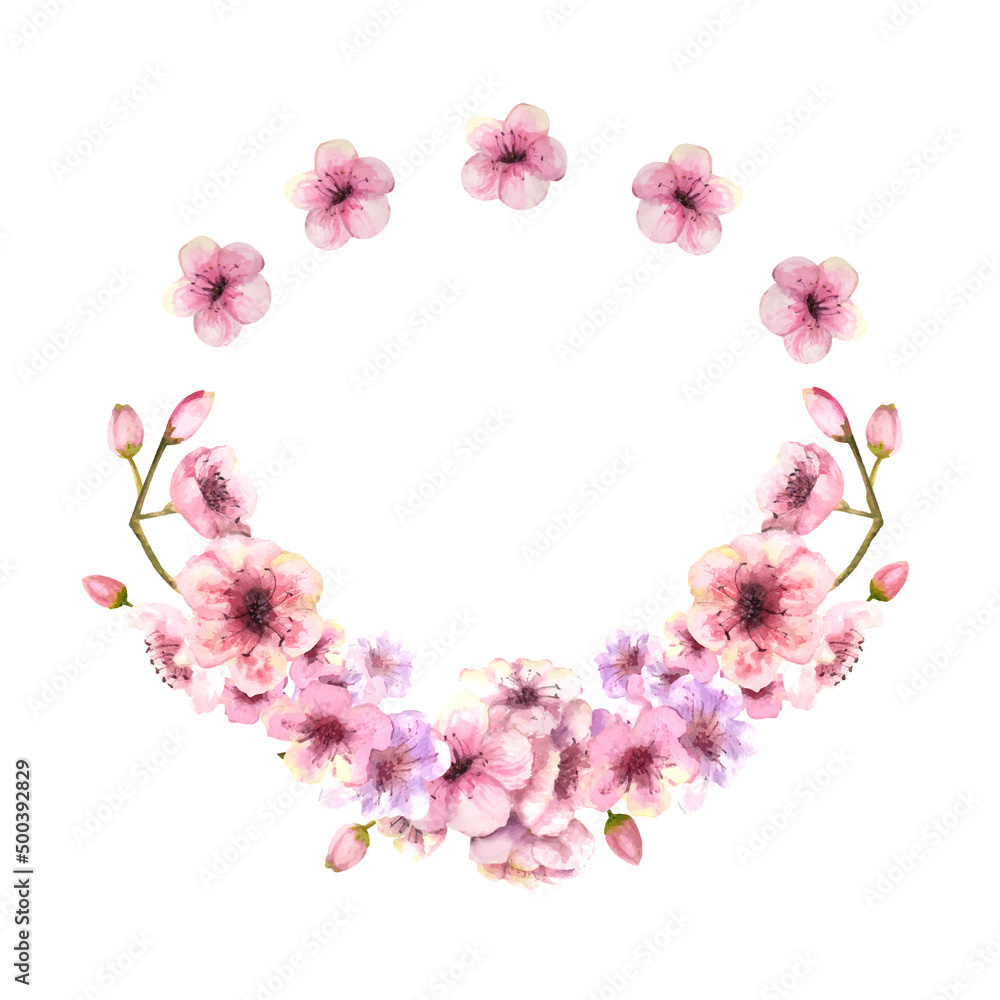 A wreath of spring pink sakura blossoms on a white isolated background. Watercolor illustration