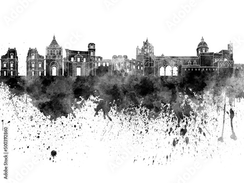 Palermo skyline in black watercolor on white background