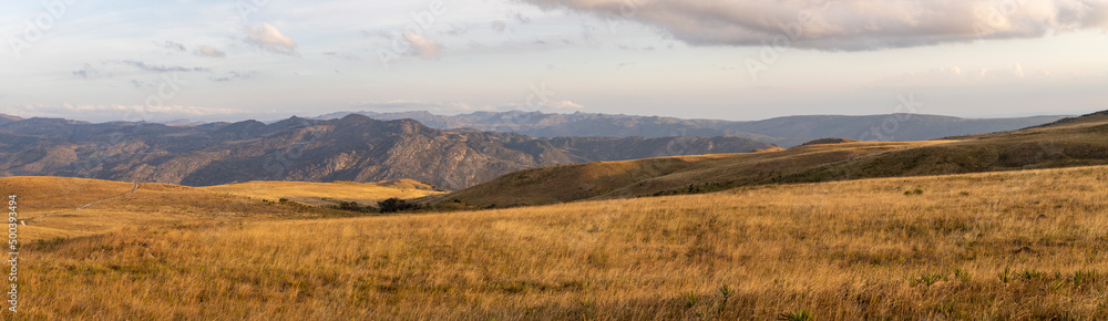 Fototapeta premium Nature