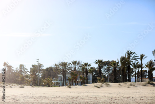 white big villa between palm on beach by the sea in Spain © Andriy Medvediuk
