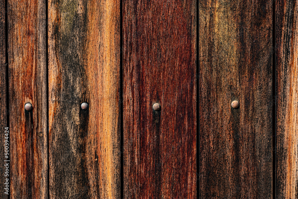 Naklejka premium Nature