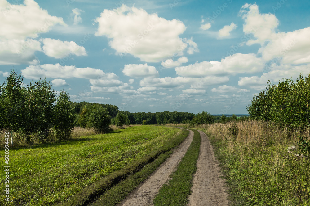 Dirt road in countryside. Walking under blue sky with clouds. Green forest on horizon. Atmosphere of tranquility and freedom from civilization