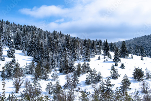Bolu Yeniçaga location, on the Istanbul - Ankara road. a winter landscape with snow-covered forests and blue sky