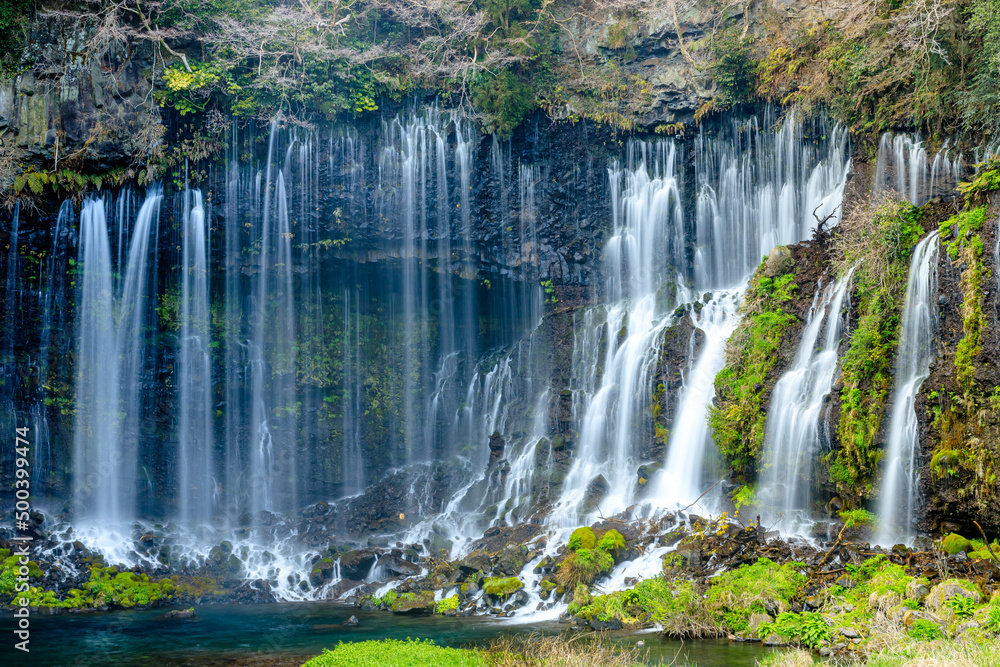 初春の白糸の滝 静岡県富士宮市 Shiraito Falls in early spring. Shizuoka-ken Fujinomiya city. 初春の白糸の滝 静岡県富士宮市 Shiraito Falls in early spring. Shizuoka-ken Fujinomiya city.