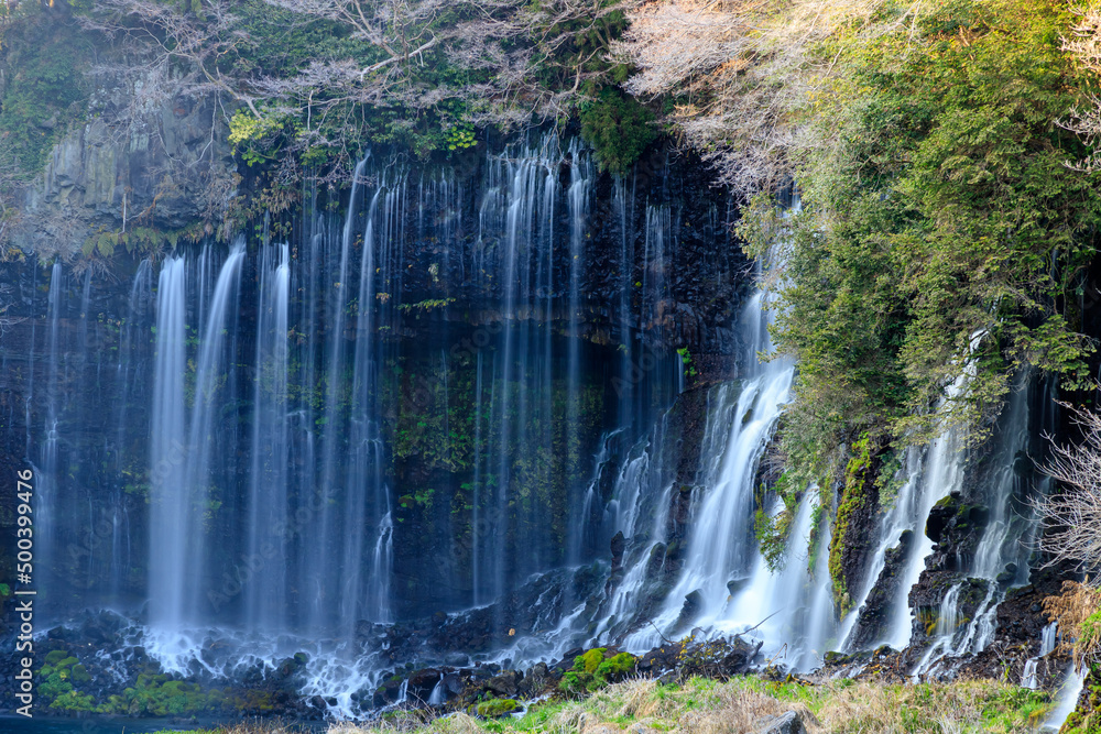 初春の白糸の滝 静岡県富士宮市 Shiraito Falls in early spring. Shizuoka-ken Fujinomiya city. 初春の白糸の滝 静岡県富士宮市 Shiraito Falls in early spring. Shizuoka-ken Fujinomiya city.