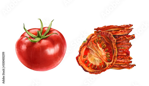 Watercolor tomatoes. Ripe red and sun dried tomato slice. Realistic botanical clipart with fresh vegetables. Isolated illustration on white. Hand drawn food label design element