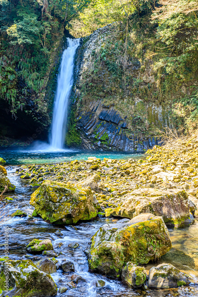 初春の浄蓮の滝 静岡県伊豆市 Joren Falls in early spring. Shizuoka-ken Izu city. 初春の浄蓮の滝 静岡県伊豆市 Joren Falls in early spring. Shizuoka-ken Izu city.