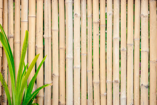Canvas Print bamboo wooden stick wall for summer tropical hawaii sea beach nature concept bac