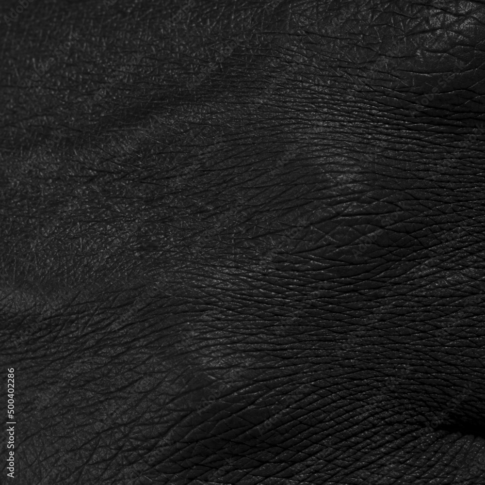 Back of the hand. Detailed texture of human skin. Close up part of male hand. Skincare, bodycare, healthcare, hygiene and medicine concept. Macro photography Back of the hand. Detailed texture of human skin. Close up part of male hand. Skincare, bodycare, healthcare, hygiene and medicine concept. Macro photography