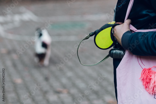 Focus on a retractable dog leash being held by a dogs owner photo