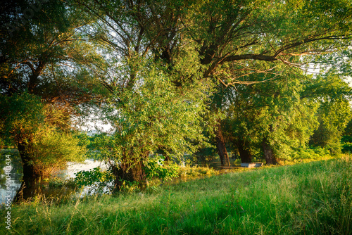 View of the nature reserve, at the end of a summer day.