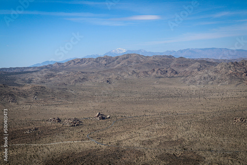 herd of sheep