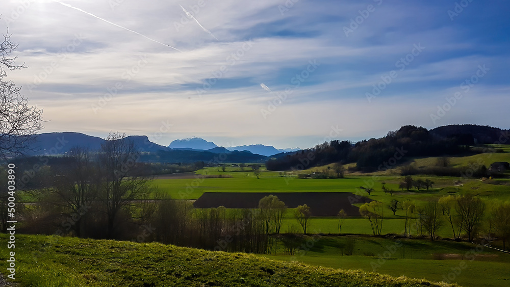 A panoramic view on an alpine landscape of Austria. Lush green meadows and crop fields spread on a vast surface. There are high Alps in the back. Few trees on the side, forming a small forest.
