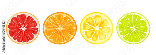 Slices of citrus fruits.Set of orange, lemon, lime, grapefruit.Vector illustration of juicy fruits in the shape of a circle.