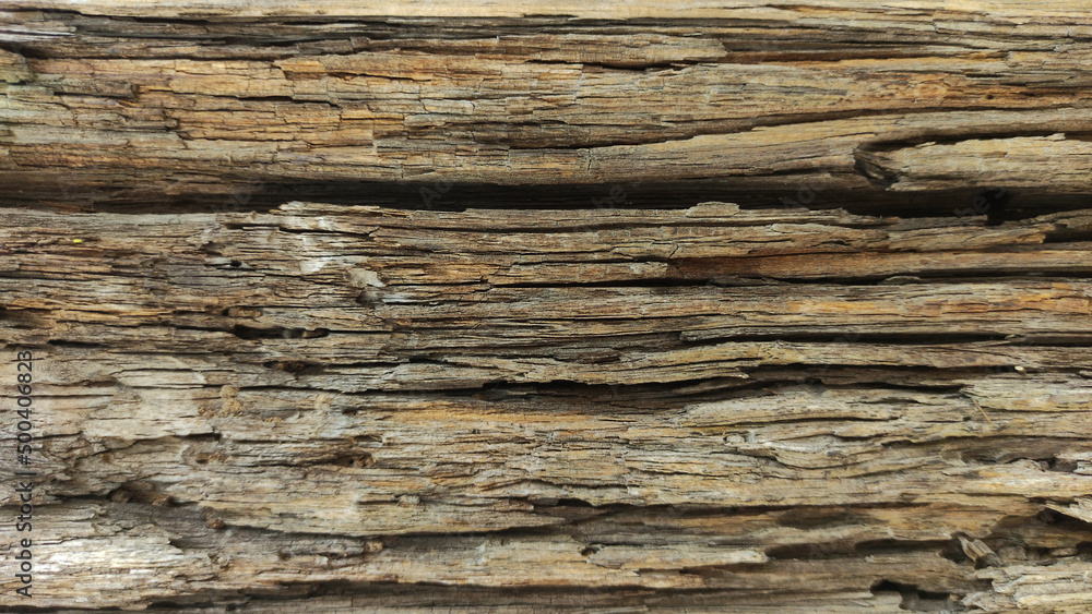 Texture of old wood background. Wooden wall pattern for design. Texture of old wood background. Wooden wall pattern for design.