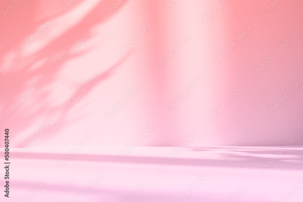 Download Pink Background Studio Get Free High Quality Pink Studio