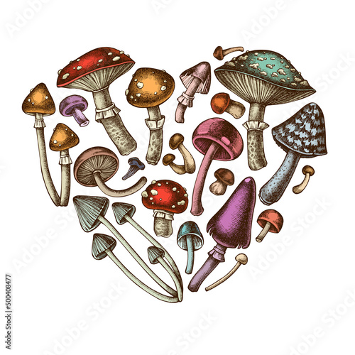 Forest mushrooms heart vintage design. Hand drawn mushrooms, fly agaric, blewit, shimeji, enoki, etc.