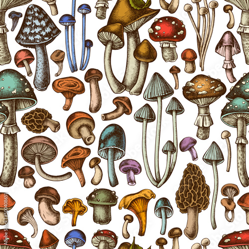 Forest mushrooms seamless pattern background design. Engraved style. Hand drawn mushrooms, fly agaric, blewit, etc.