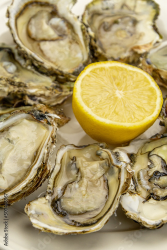 close up of open oysters in a dish with a lemon