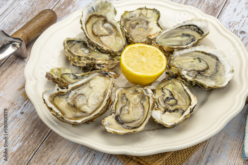 open oysters in a dish with a lemon