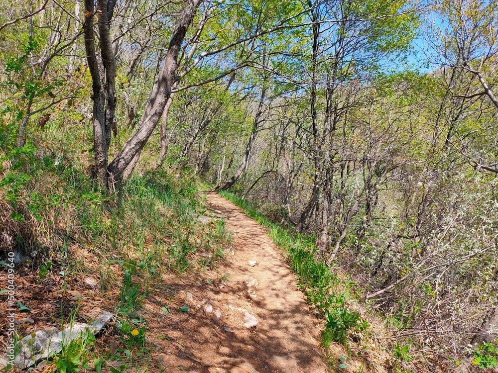 Mountain path. Mount Maddalena. Brescia. Italy Mountain path. Mount Maddalena. Brescia. Italy