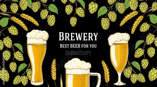 Beer glasses and hops. Brewery design template. Beer hop illustration. Hand drawn design. Beer ingredients vector illustration.