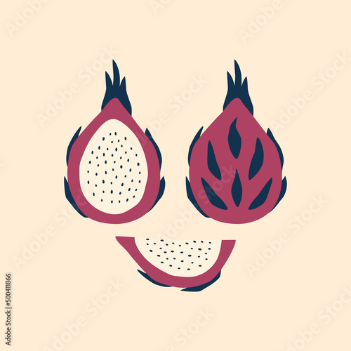 Dragon fruit hand drawn vector illustration. Exotic thai pitaya in flat style. Isolated fruits for logo or icon.