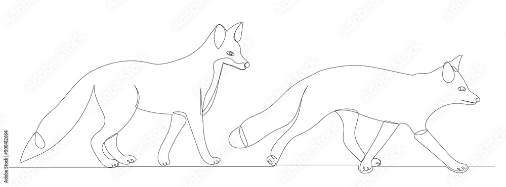 fox continuous line drawing, sketch, vector fox continuous line drawing, sketch, vector