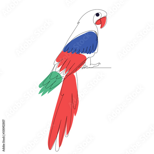 parrot continuous line drawing, sketch, vector