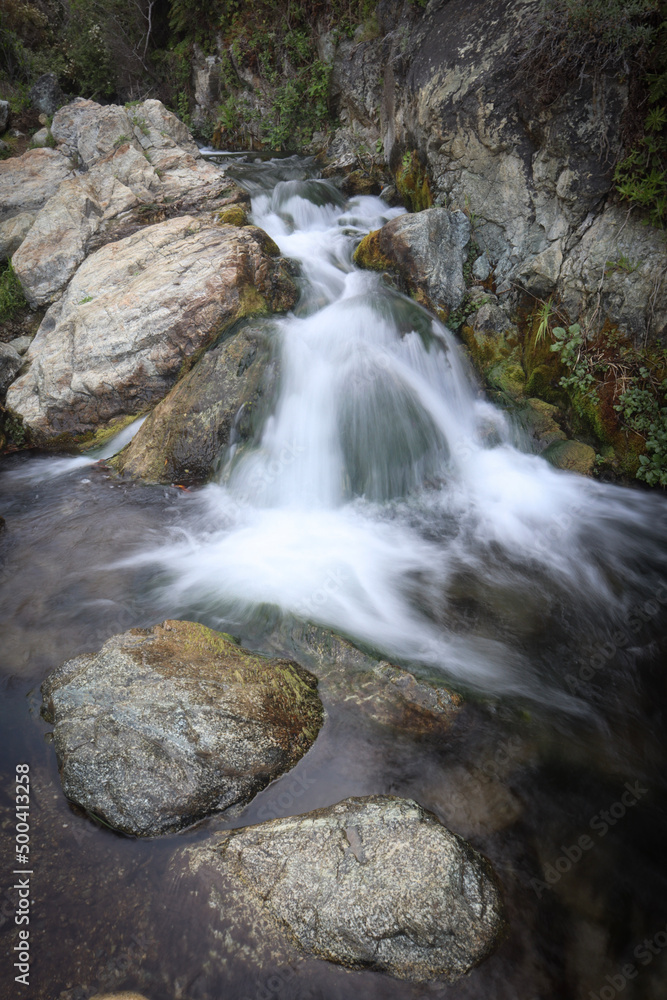 Naklejka premium waterfall in the forest