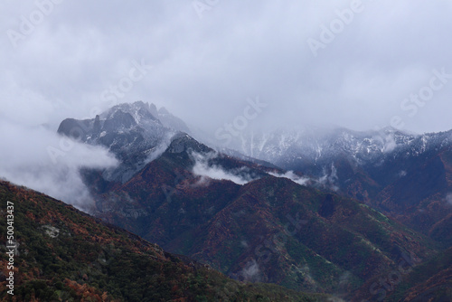 mountains in the fog