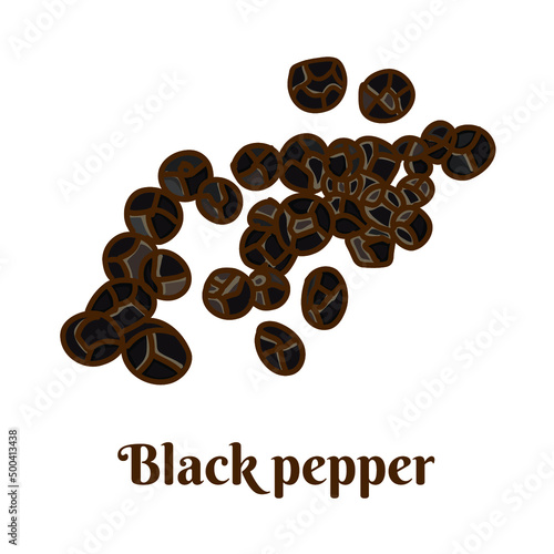 Hand drawn vector illustration of black pepper isolated on white background.
