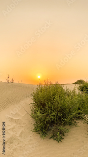 landscape of saudi arabia