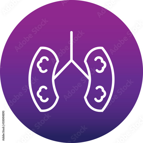Kidneys Icon