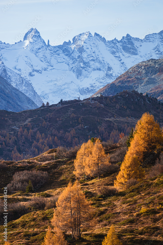 autumn in the Swiss Alps with its colors, mountains, glaciers and typical villages, near the village of Maloja, Engadine, Switzerland