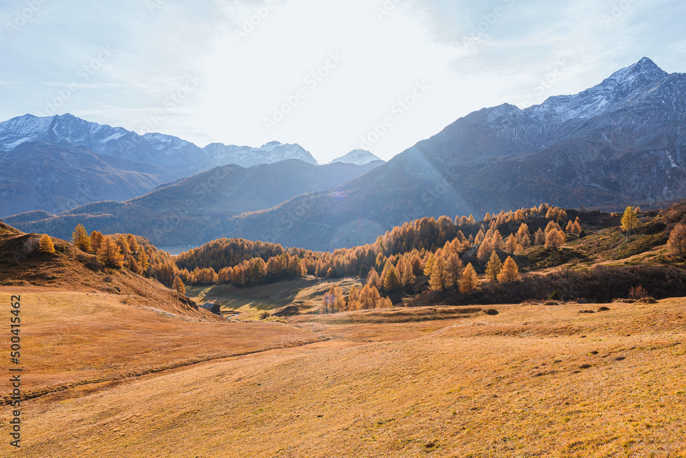 autumn in the Swiss Alps with its colors, mountains, glaciers and typical villages, near the village of Maloja, Engadine, Switzerland