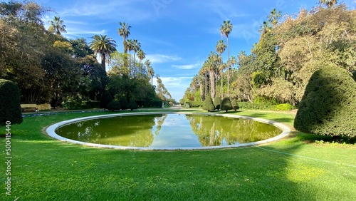 Big pool and trees in Botanical Garden of Hamma in Algiers.It was established in 1832 and now still considered one of the most important botanical gardens in the world