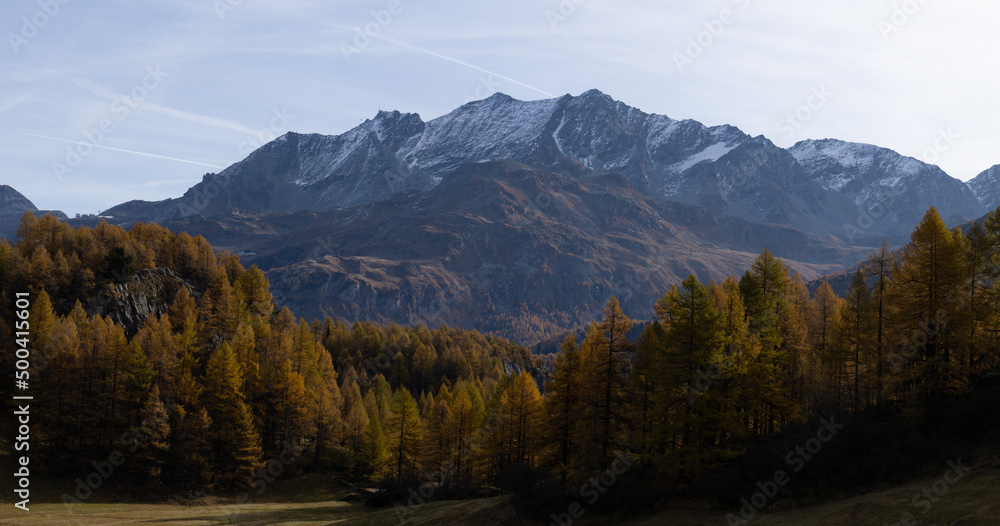 The woods and nature of Engadine: one of the most beautiful and famous valleys in Switzerland, near the village of Sankt Moritz - October 2021.
