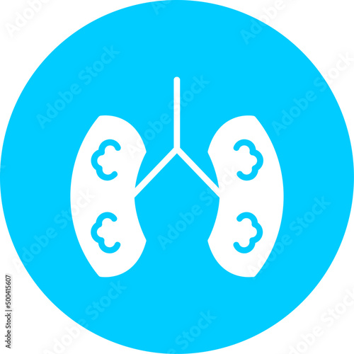 Kidneys Icon