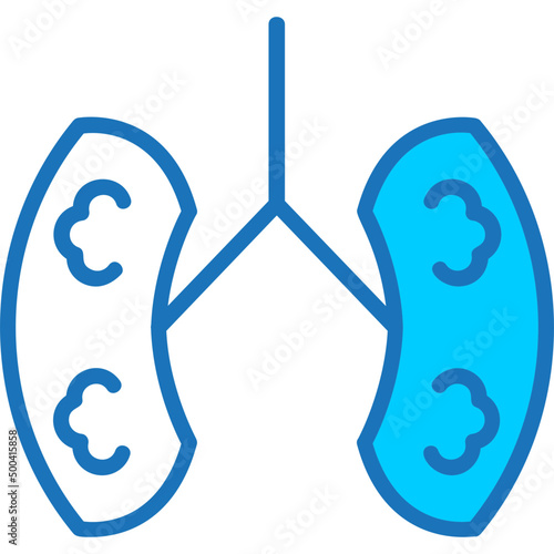 Kidneys Icon