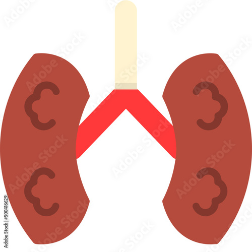Kidneys Icon