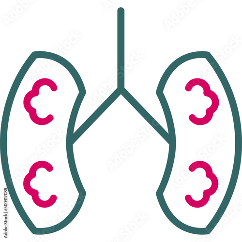 Kidneys Icon