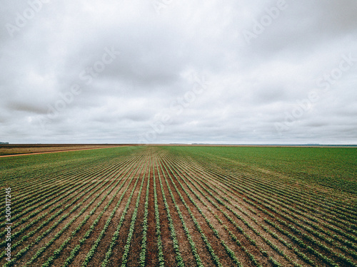 plowed field of soybean plantation and clouded sky
