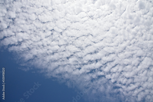 Mackerel cloud  © Tonic Ray Sonic