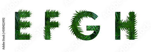 Letters E, F, G, H decorated with floral pattern on white background. Banner design