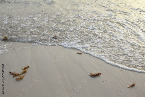 white tropical beach and a waves, closed up beach 
